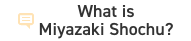 What is Miyazaki Shochu?