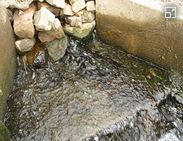 Spring water from a wellspring on the distillery grounds that is used in the mashing process. The distillery aims to contribute to protecting the environment and achieving a recycling-oriented society.