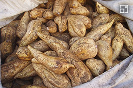 The main ingredient is locally produced Kogane Sengan sweet potatoes.