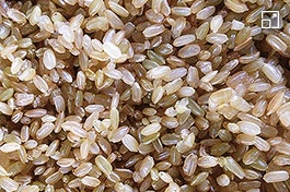 ”Brown rice shochu”: a nationwide rarity
