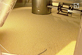 Water and yeast added to the cultivated koji (malted rice) to cause alcohol fermentation.